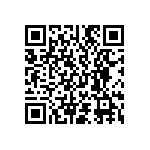 D55342E07B96B5RWS QRCode