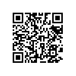 D55342H07B133EPWS QRCode