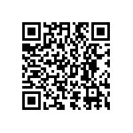 D55342K07B787ERWSV QRCode