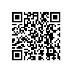 D55342M07B300KRWSV QRCode