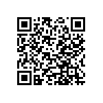 DBMD17W2SJA197 QRCode