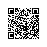 DBMG17H2SJA197 QRCode