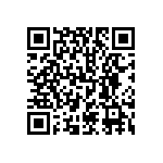 DBMV13H3SYA197 QRCode