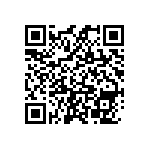 DCM13W6PA191K87 QRCode