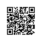 DD11-0123-1111 QRCode