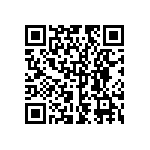 DD21-0113-1111 QRCode