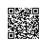 DE2B3SA151KN3AY02F QRCode