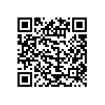 DEBB33D102KB2B QRCode