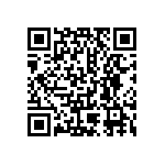 DEBE33D102ZB2B QRCode