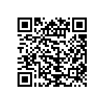 DEBE33D222ZB2B QRCode