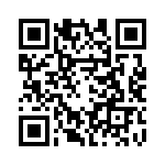 DF3E-2P-2V-20 QRCode