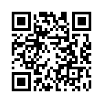 DP4RSA60E20B2 QRCode