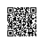 DW-02-09-T-S-335 QRCode