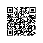 DW-02-09-T-S-527 QRCode