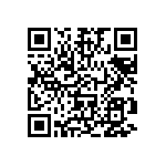 DW-02-13-L-T-400 QRCode