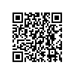 DW-04-09-T-S-256 QRCode