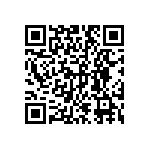 DW-04-11-T-S-748 QRCode