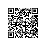 DW-04-13-T-D-234 QRCode