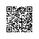 DW-04-13-T-S-946 QRCode