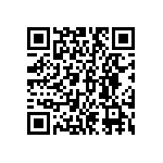 DW-04-15-S-D-295 QRCode