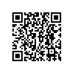 DW-04-17-T-S-310 QRCode