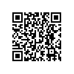 DW-04-20-F-S-213 QRCode