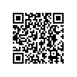 DW-05-09-F-D-393 QRCode