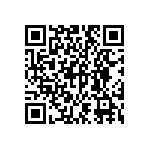 DW-05-13-G-S-866 QRCode