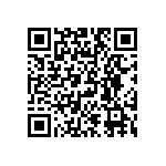 DW-08-08-T-S-295 QRCode