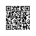 DW-10-09-T-S-300 QRCode