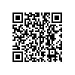 DW-11-13-L-Q-450 QRCode