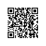 DW-11-19-G-S-938 QRCode