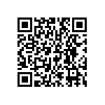 DW-13-09-T-S-395 QRCode