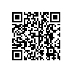 DW-13-13-T-S-500 QRCode