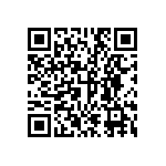 DW-17-13-T-S-1001 QRCode