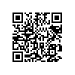 DW-17-20-T-S-875 QRCode