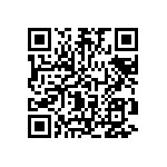 DW-20-09-H-D-384 QRCode