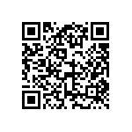 DW-20-13-T-S-787 QRCode