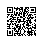 DW-33-09-F-S-380 QRCode