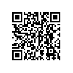 DW-38-13-F-S-955 QRCode