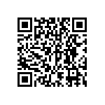 DW-41-13-F-S-955 QRCode