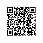 DW-49-13-F-S-945 QRCode