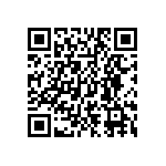 DWM-04-01-G-S-250 QRCode