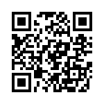 E101SYZQE QRCode