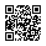 E2013P-BG QRCode