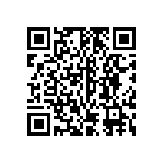 ESQT-133-02-SM-D-309 QRCode