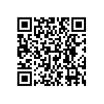 EW-04-09-G-T-300 QRCode