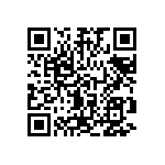 EW-04-09-L-S-300 QRCode