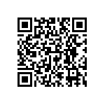 EW-10-09-T-S-300 QRCode