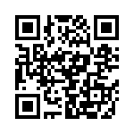 FCE17E09PA690 QRCode